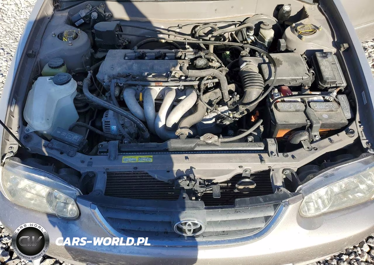 2002 Toyota Corolla Le VIN:1NXBR12E62Z570279 - 11
