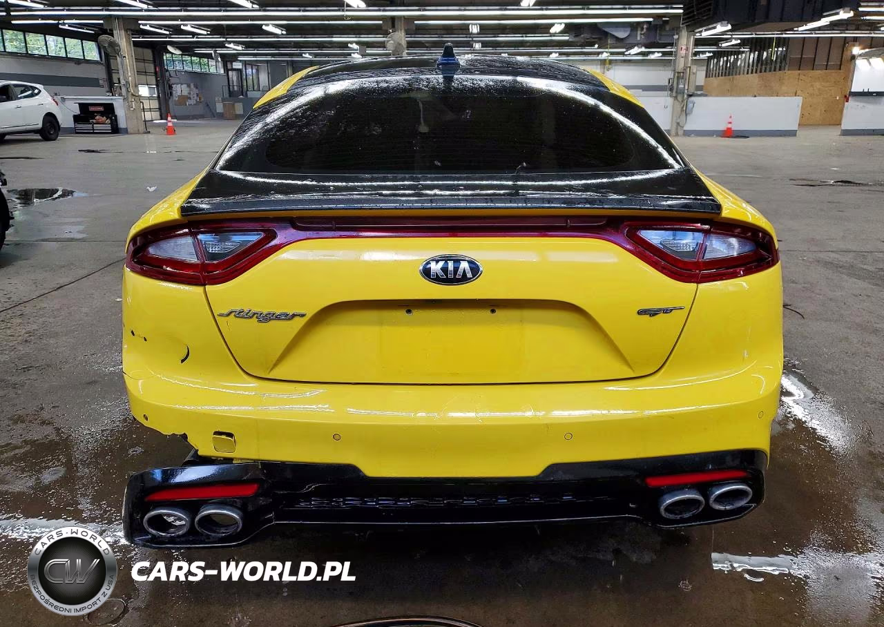 2018 Kia Stinger Gt VIN:KNAE35LCXJ6020333 - 6