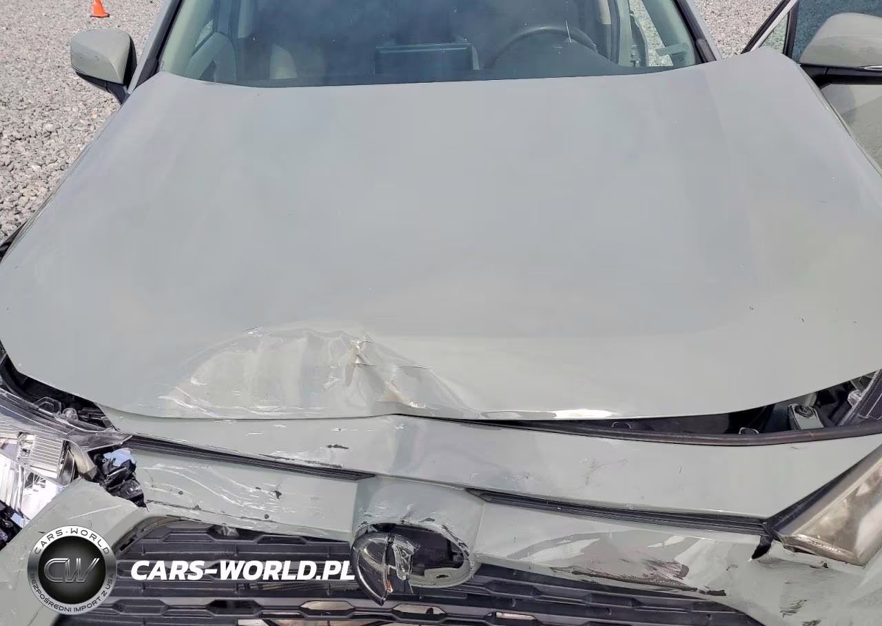 2019 Toyota Rav4 Xle VIN:2T3W1RFV8KW009199 - 11