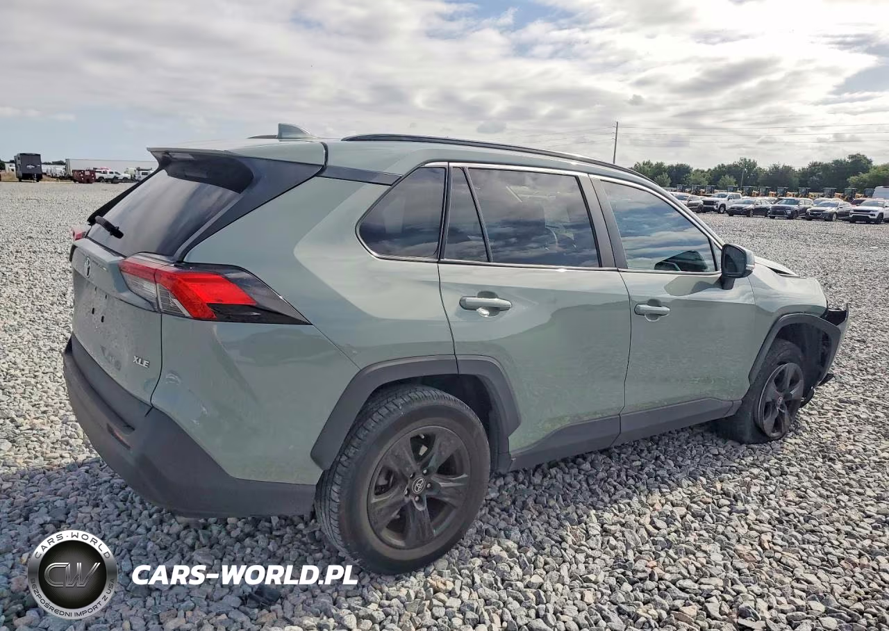 2019 Toyota Rav4 Xle VIN:2T3W1RFV8KW009199 - 3