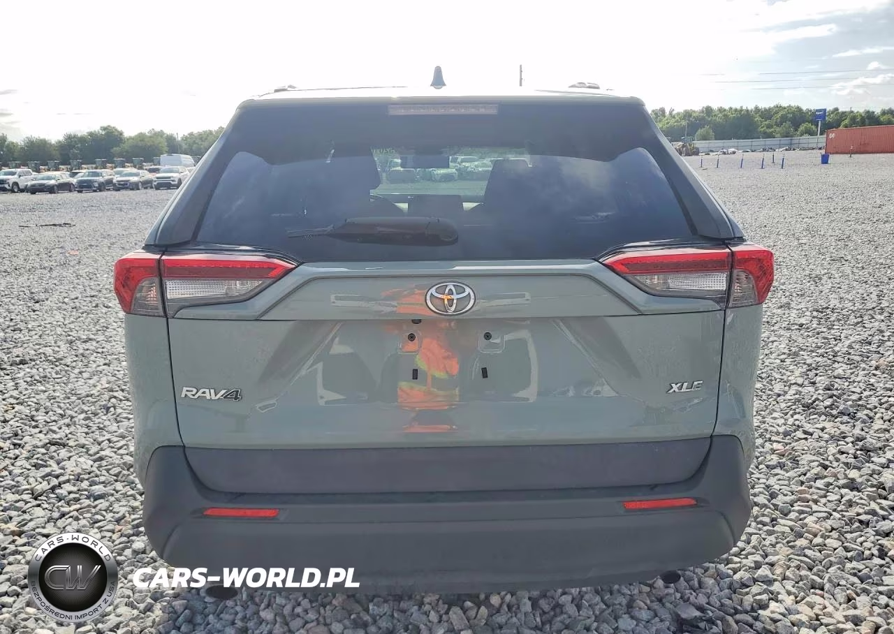 2019 Toyota Rav4 Xle VIN:2T3W1RFV8KW009199 - 6