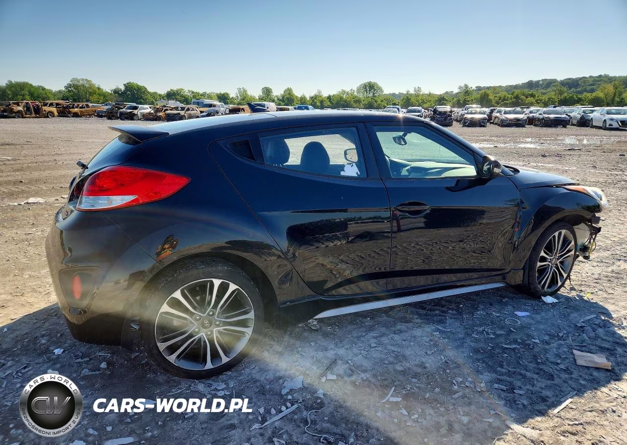 2016 Hyundai Veloster Turbo VIN:KMHTC6AE3GU278584 - 3