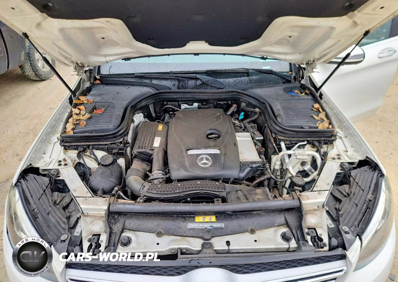 2019 Mercedes-Benz Glc 300 VIN:WDC0G4JB1K1000082 - 12