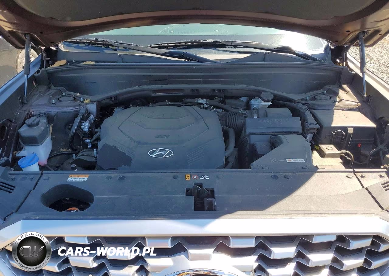 2021 Hyundai Palisade Sel VIN:KM8R4DHE7MU260683 - 12