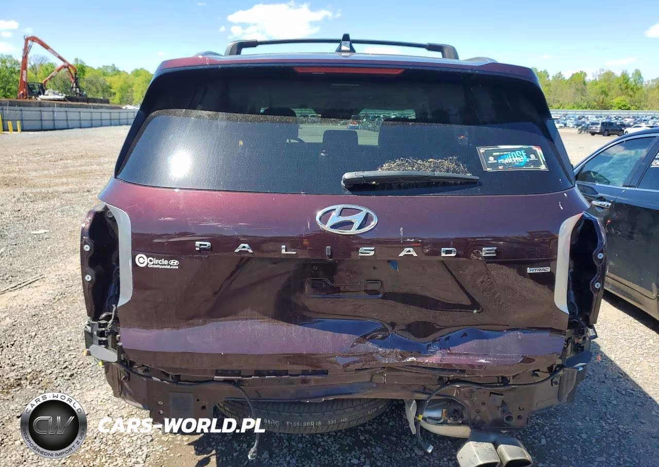 2021 Hyundai Palisade Sel VIN:KM8R4DHE7MU260683 - 6