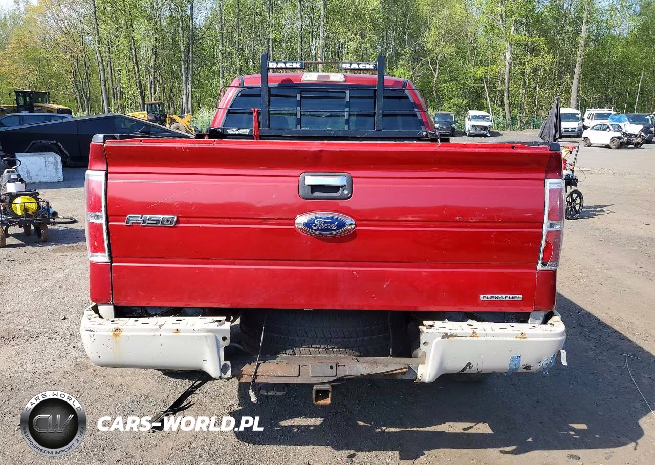 2009 Ford F150 Super Cab VIN:1FTPX14V39KB50093 - 6
