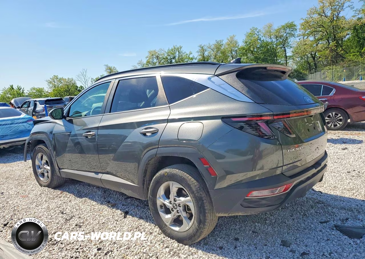 2023 Hyundai Tucson Sel VIN:5NMJBCAE2PH258041 - 2