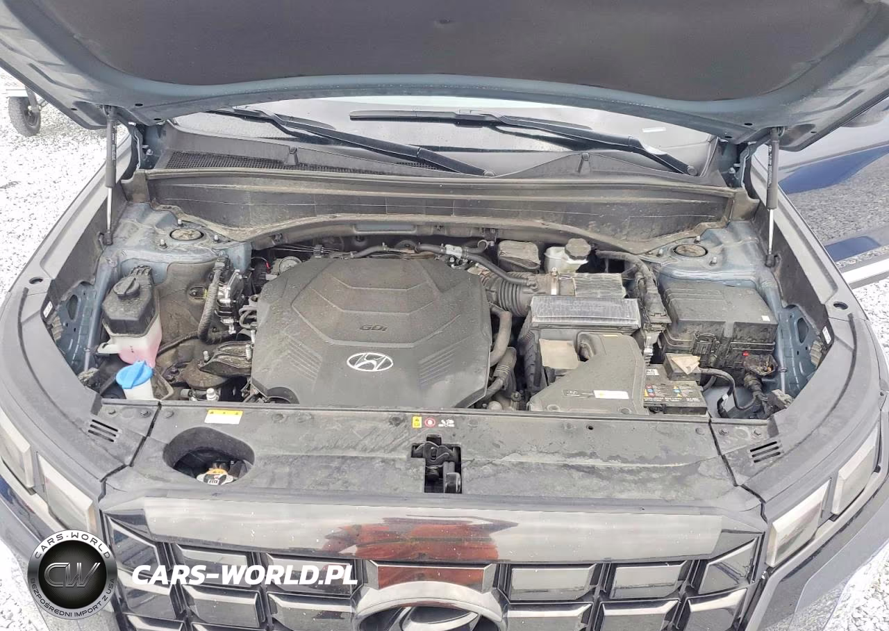 2024 Hyundai Palisade Sel VIN:KM8R2DGE8RU682900 - 12