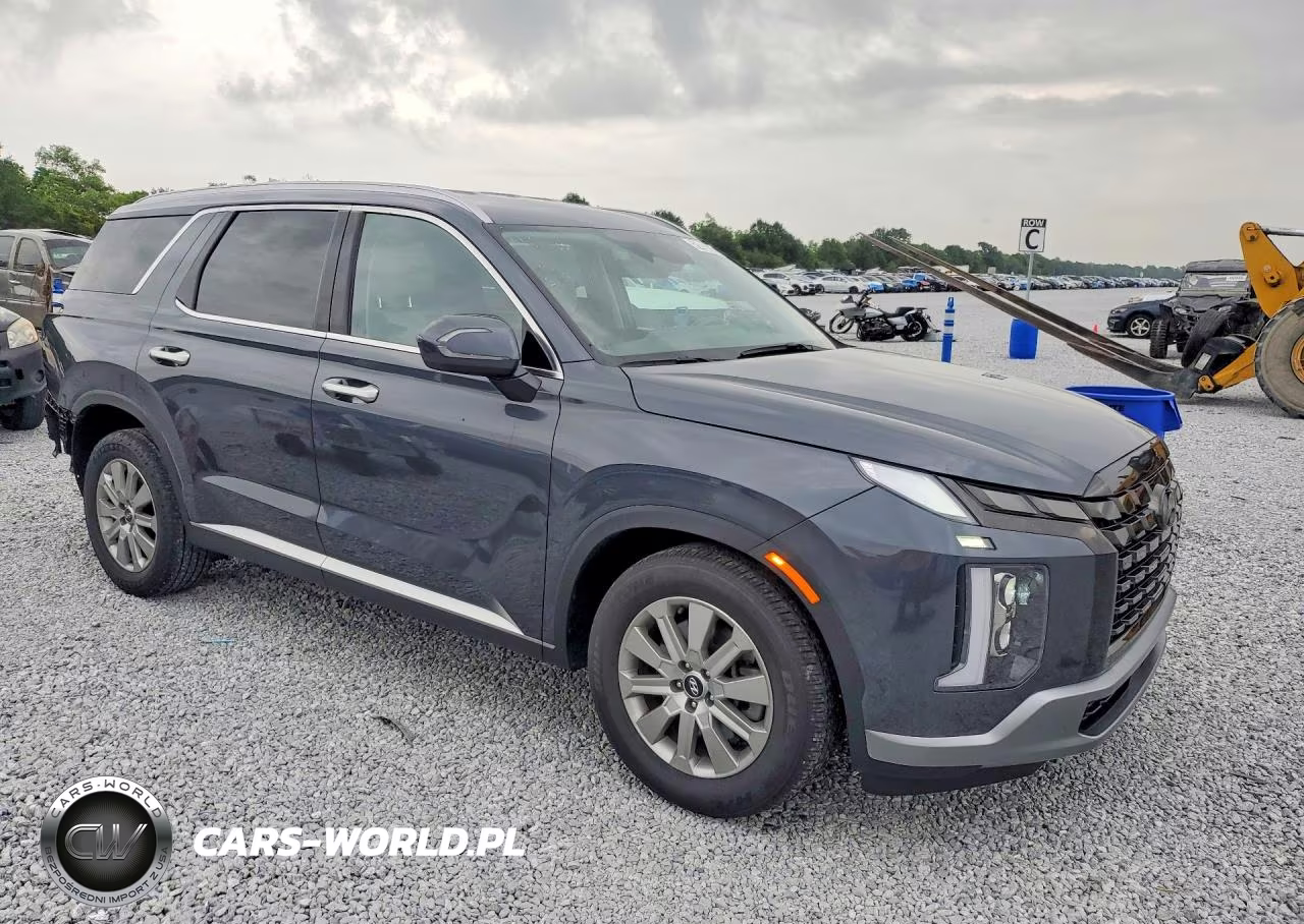 2024 Hyundai Palisade Sel VIN:KM8R2DGE8RU682900 - 4