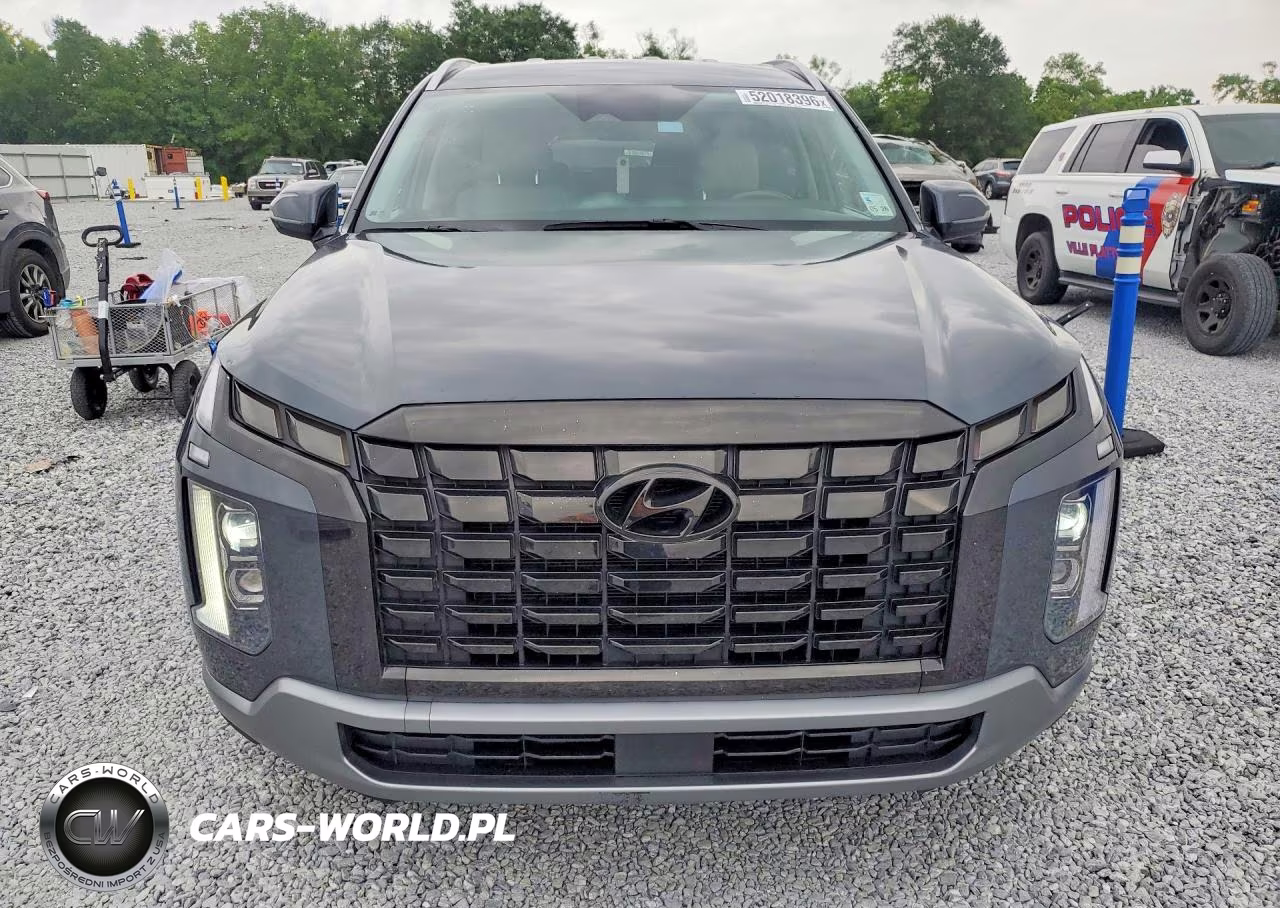 2024 Hyundai Palisade Sel VIN:KM8R2DGE8RU682900 - 5