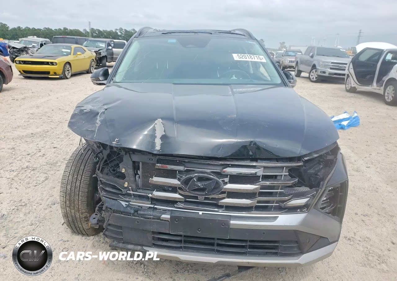 2025 Hyundai Tucson Limited VIN:5NMJE3DE8SH446994 - 5