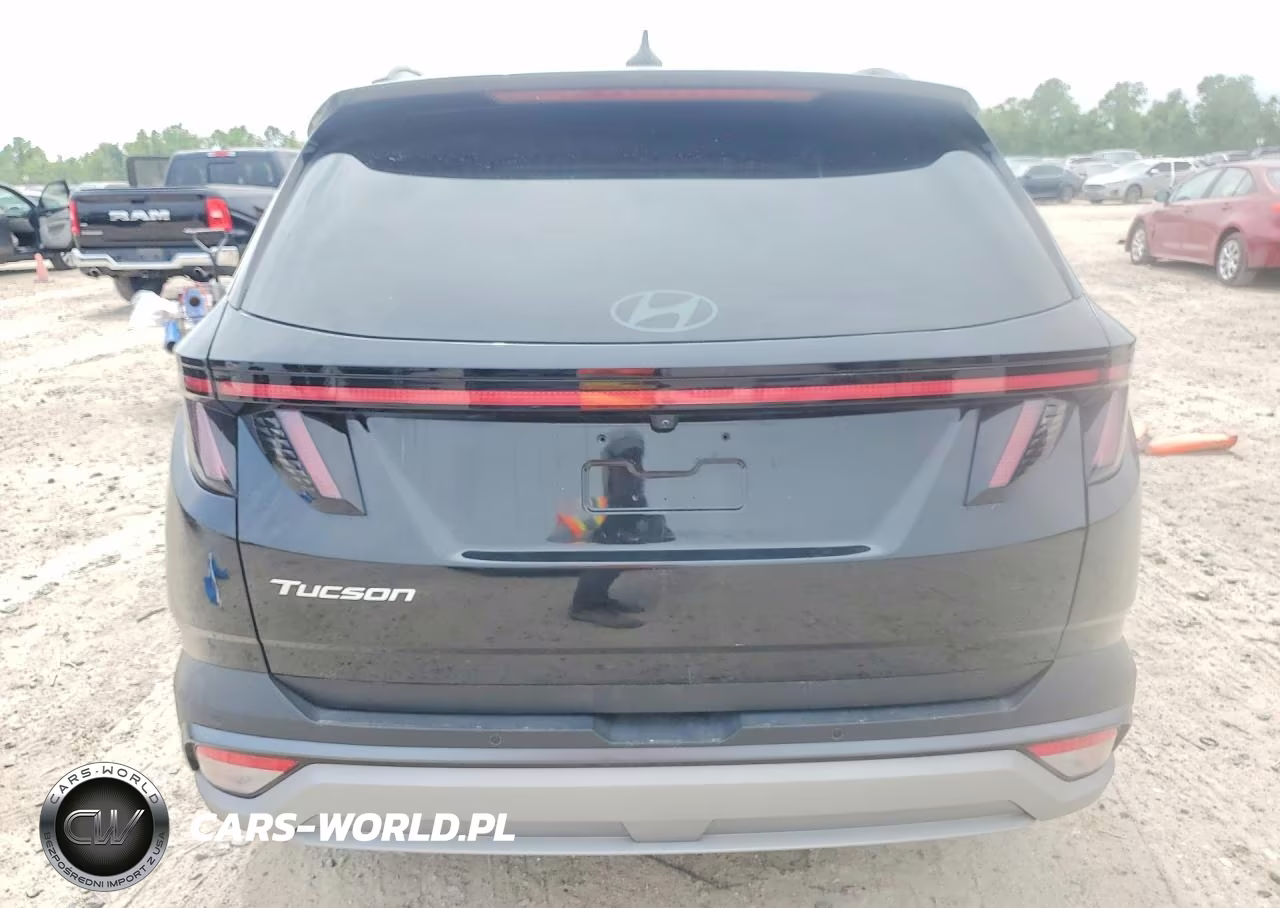 2025 Hyundai Tucson Limited VIN:5NMJE3DE8SH446994 - 6