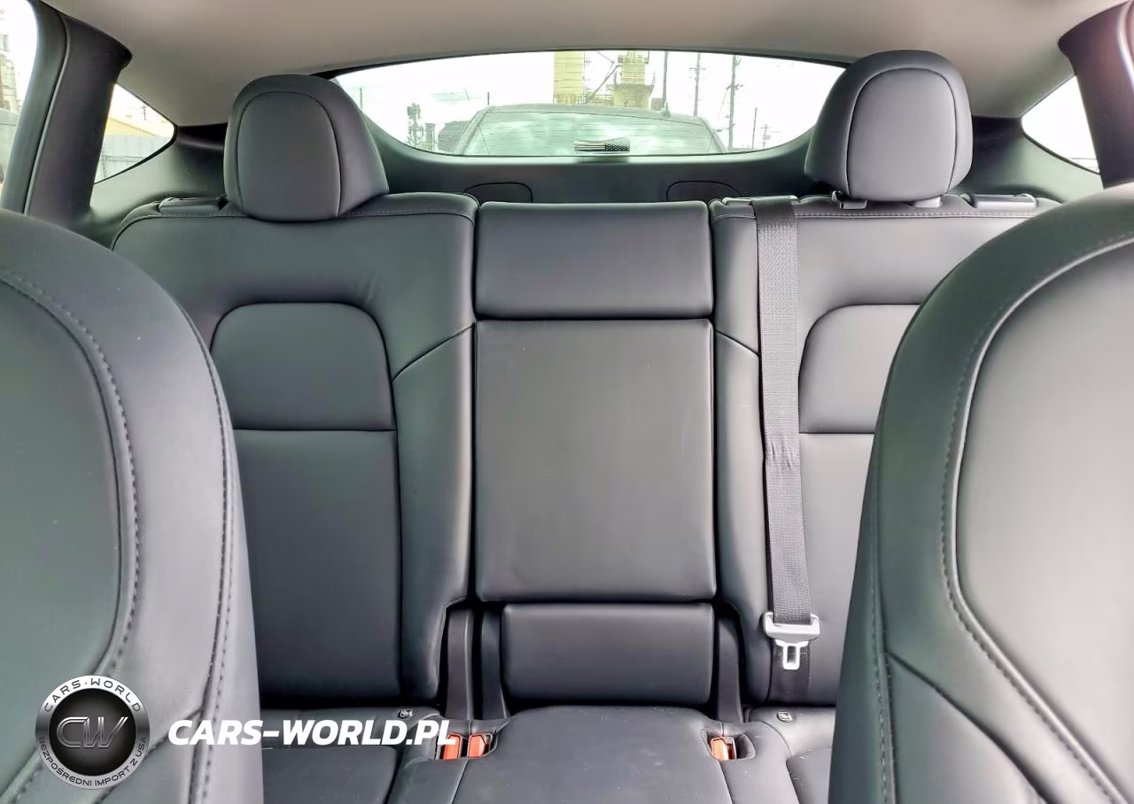 2023 Tesla Model Y VIN:7SAYGDEE0PA071687 - 10