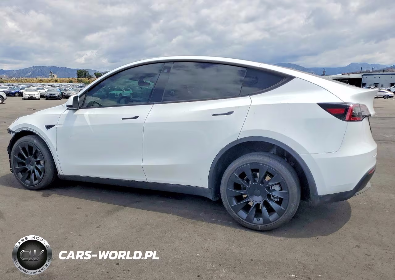 2023 Tesla Model Y VIN:7SAYGDEE0PA071687 - 2