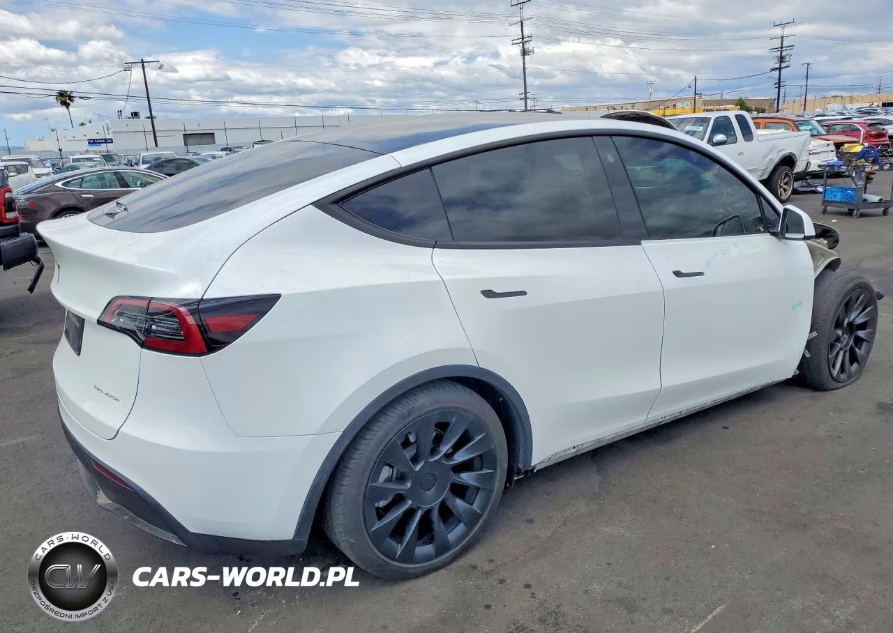2023 Tesla Model Y VIN:7SAYGDEE0PA071687 - 3
