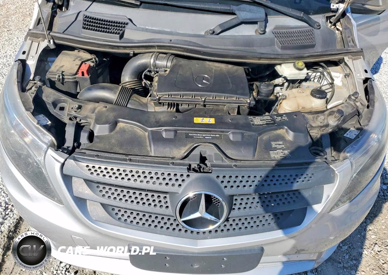 2017 Mercedes-Benz Metris VIN:WD4PG2EE5H3302314 - 12