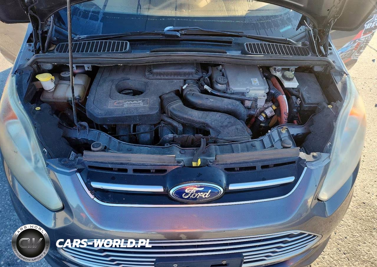 2013 Ford C-Max Premium VIN:1FADP5CU0DL541763 - 11
