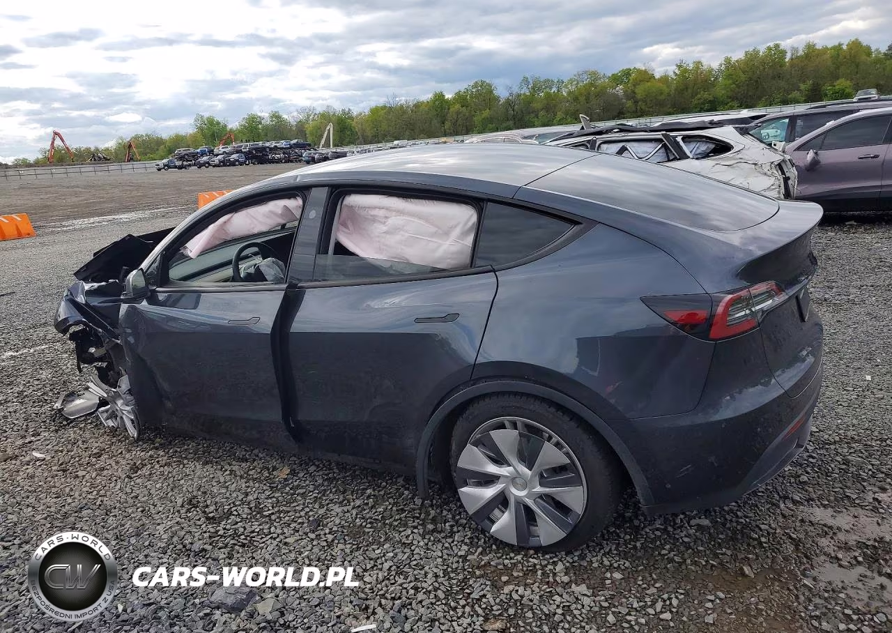 2024 Tesla Model Y VIN:7SAYGDEE3RA278724 - 2