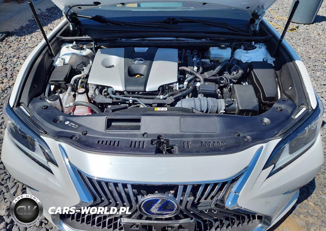 2021 Lexus Es 300H VIN:58ADA1C16MU007417 - 11