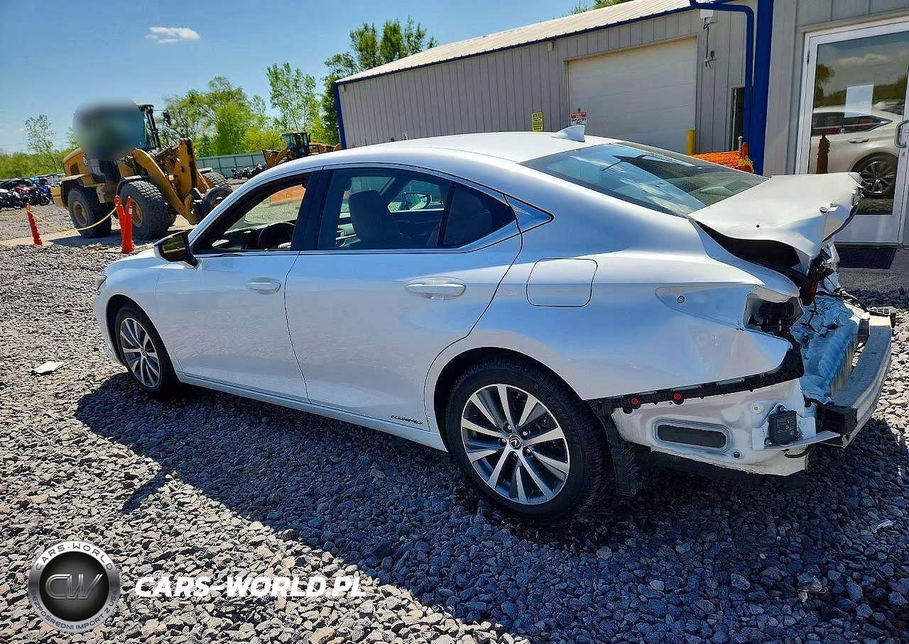 2021 Lexus Es 300H VIN:58ADA1C16MU007417 - 2
