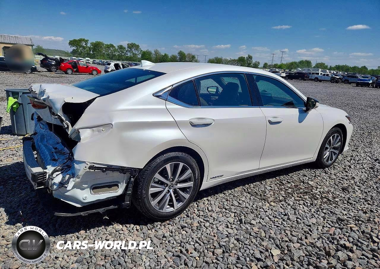 2021 Lexus Es 300H VIN:58ADA1C16MU007417 - 3
