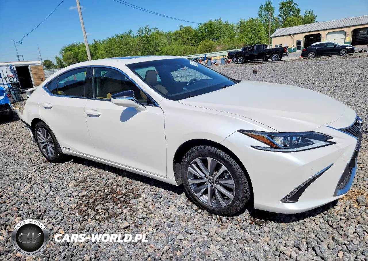 2021 Lexus Es 300H VIN:58ADA1C16MU007417 - 4