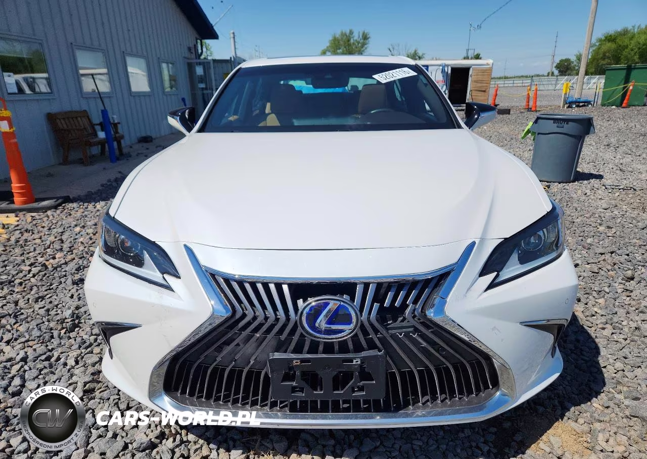 2021 Lexus Es 300H VIN:58ADA1C16MU007417 - 5