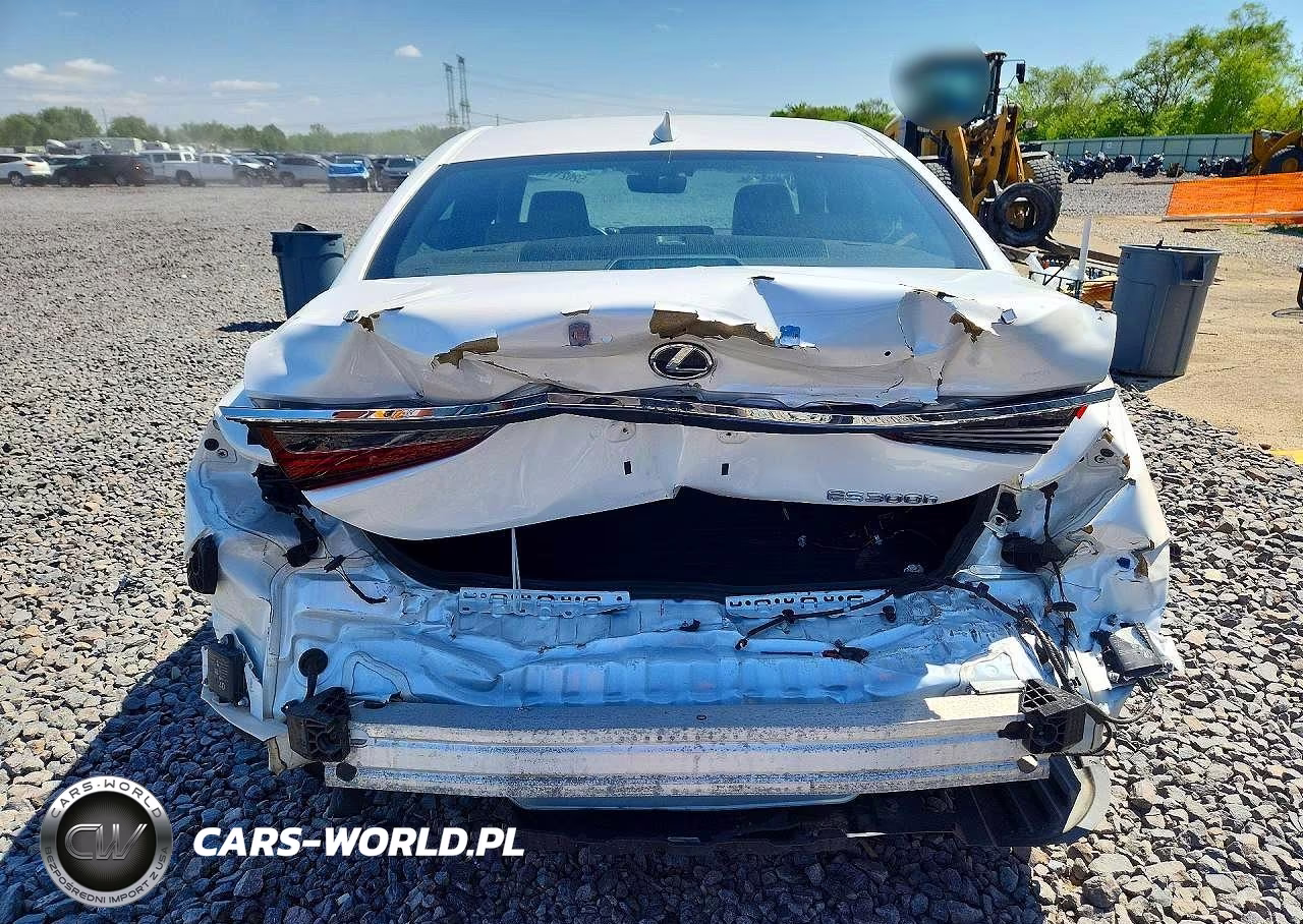 2021 Lexus Es 300H VIN:58ADA1C16MU007417 - 6