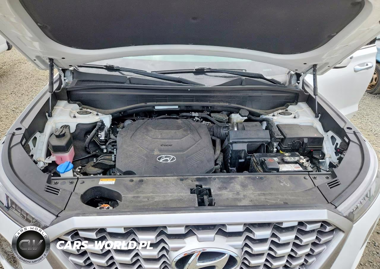 2022 Hyundai Palisade Sel VIN:KM8R4DHE0NU383436 - 12