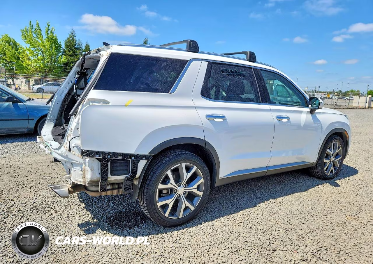 2022 Hyundai Palisade Sel VIN:KM8R4DHE0NU383436 - 3