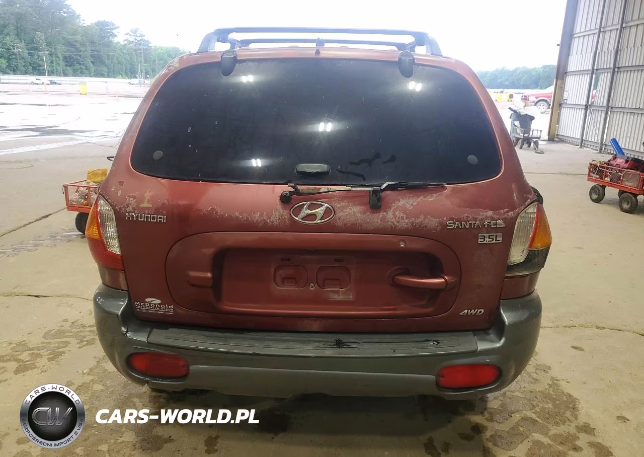 2004 Hyundai Santa Fe Gls VIN:KM8SC73E24U813091 - 6