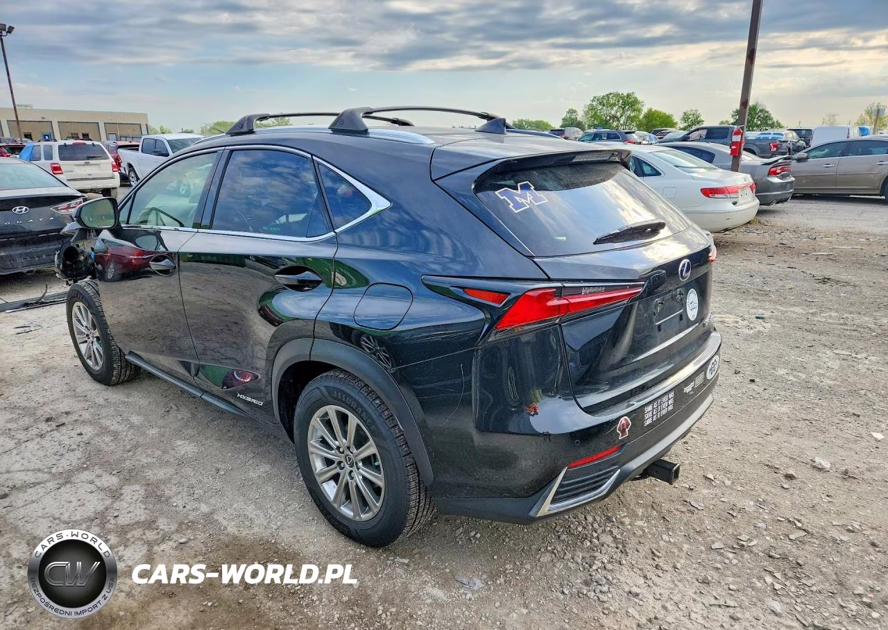 2021 Lexus Nx 300H Base VIN:JTJDJRDZ9M2147923 - 2