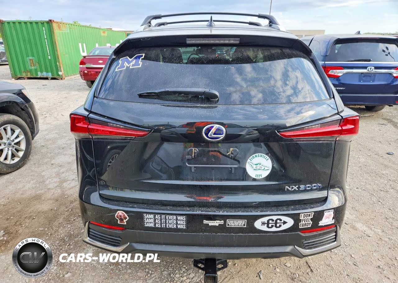 2021 Lexus Nx 300H Base VIN:JTJDJRDZ9M2147923 - 6