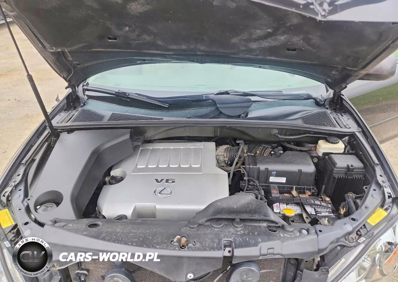 2009 Lexus Rx 350 VIN:2T2GK31U39C077617 - 12