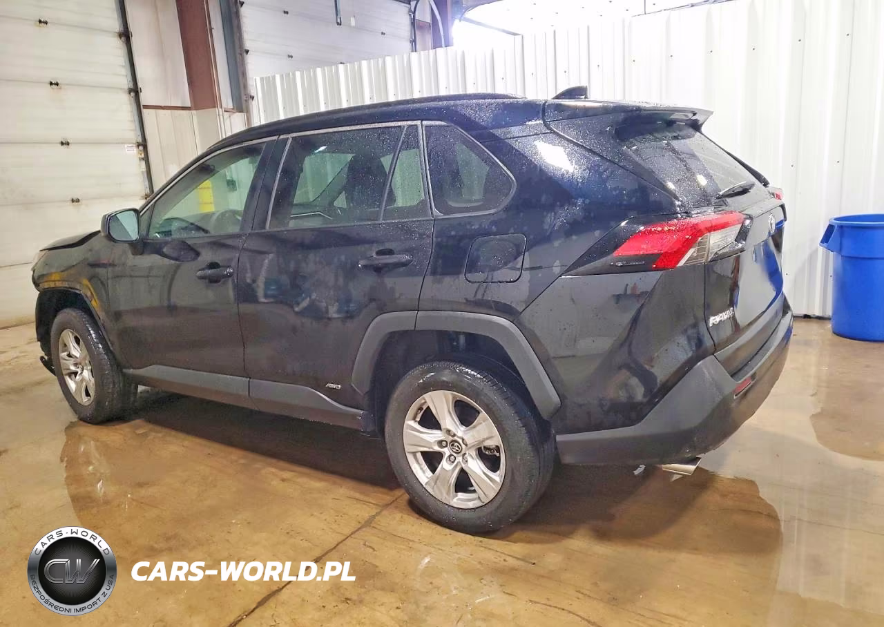 2023 Toyota Rav4 Le VIN:4T3LWRFV9PU087583 - 2