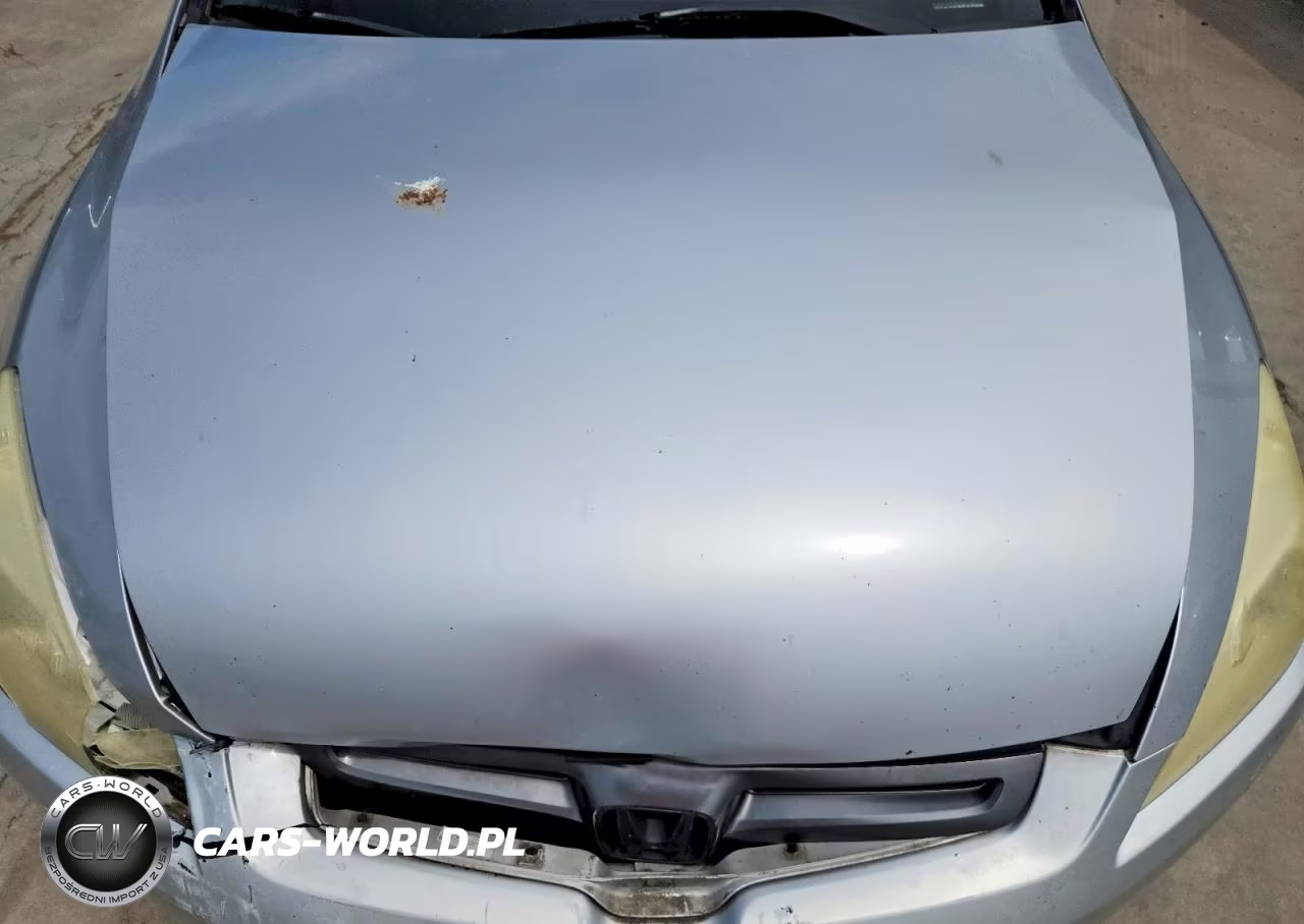 2003 Honda Accord Lx VIN:1HGCM55313A073802 - 11
