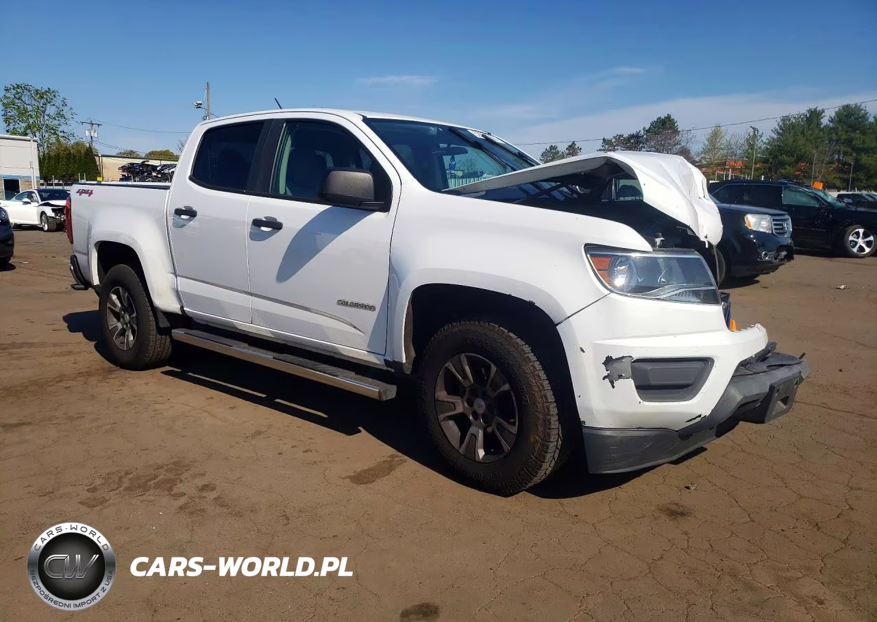 2016 Chevrolet Colorado VIN:1GCGTBE30G1384645 - 4