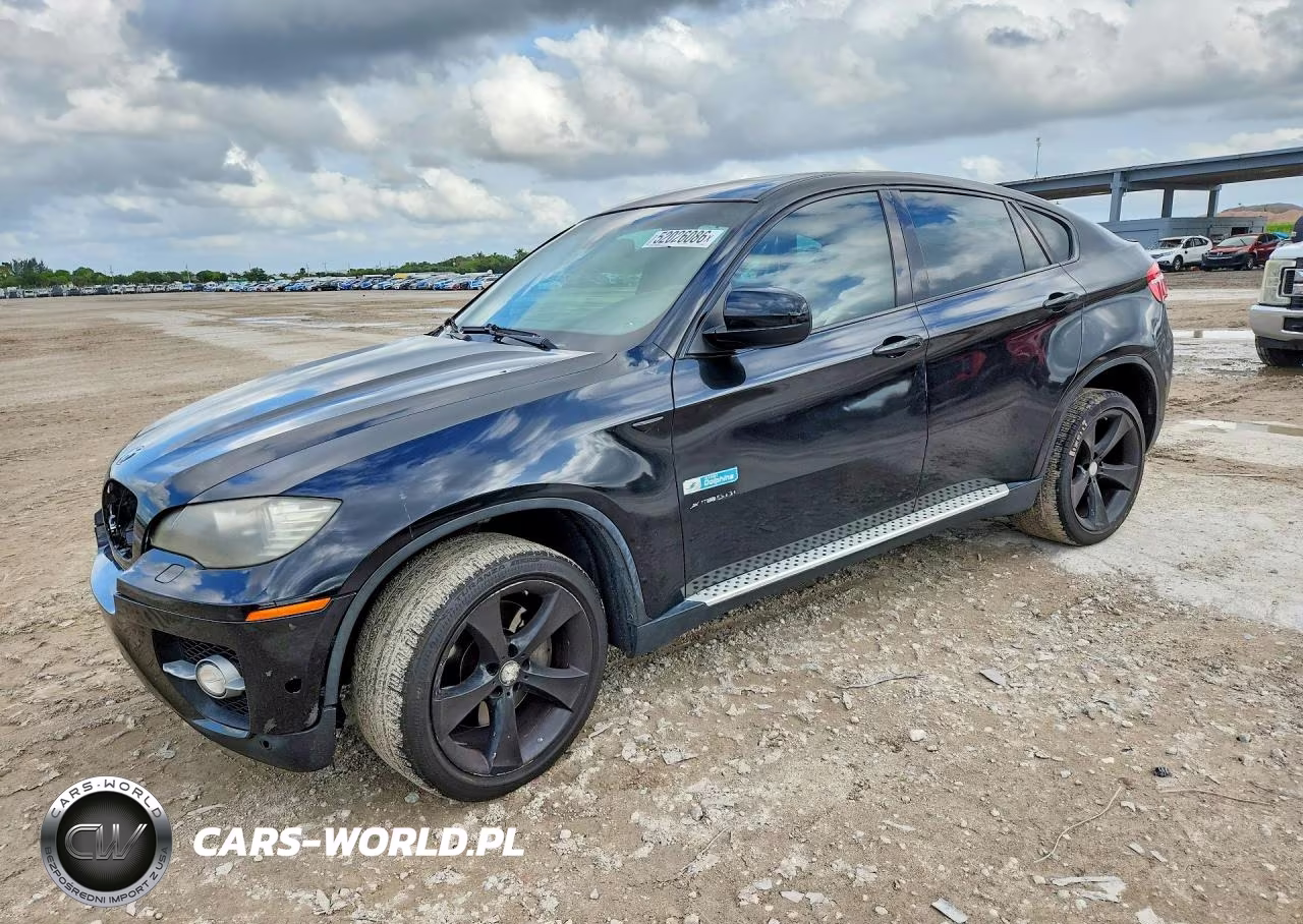 2009 BMW X6