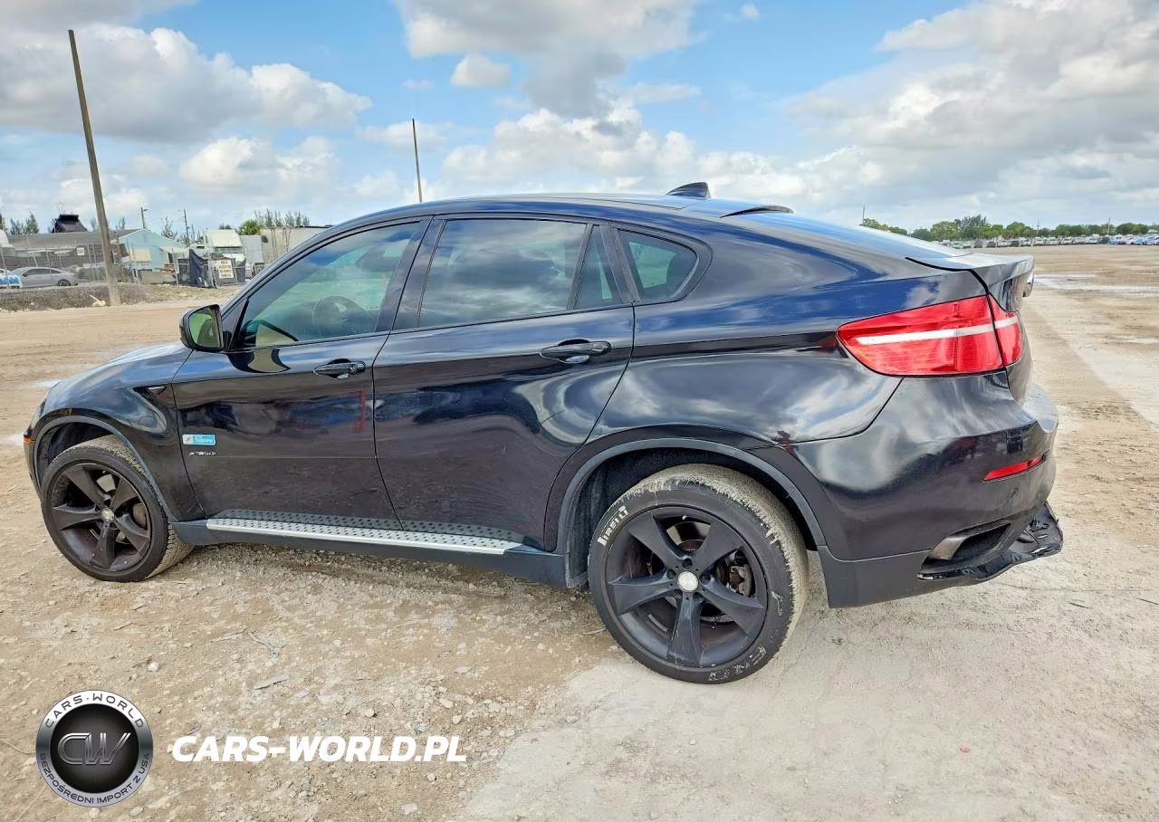 2009 BMW X6 VIN:5UXFG83529LZ92342 - 2