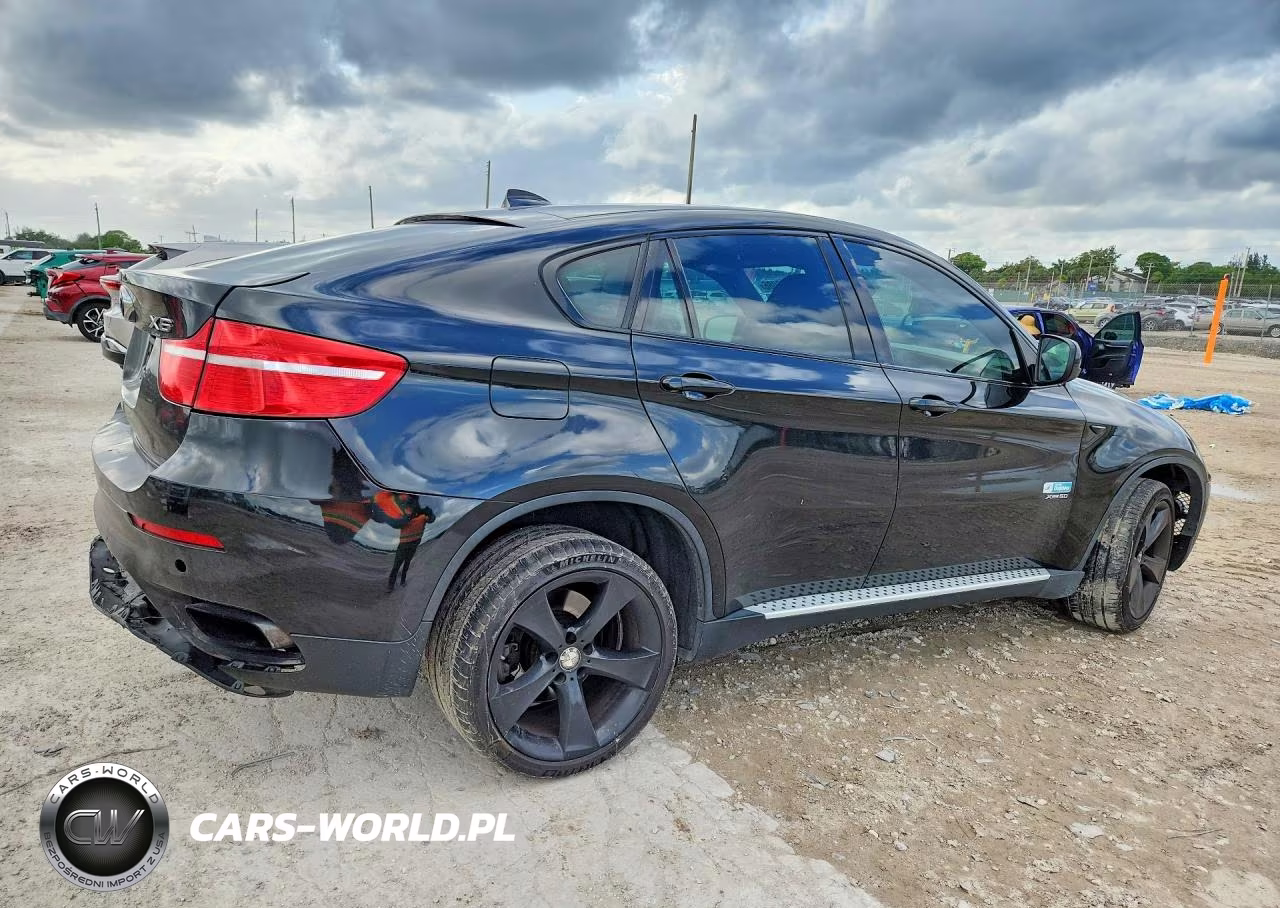 2009 BMW X6 VIN:5UXFG83529LZ92342 - 3
