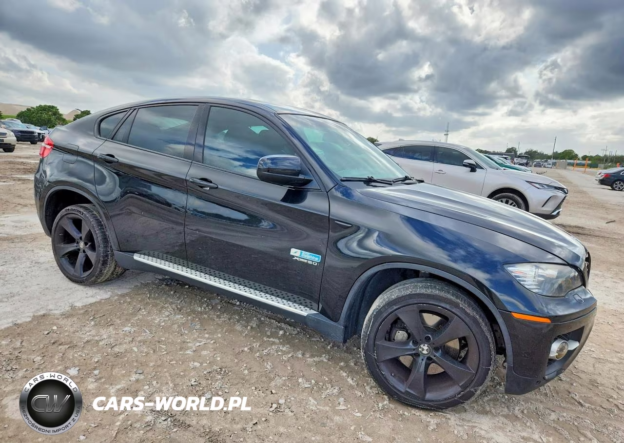 2009 BMW X6 VIN:5UXFG83529LZ92342 - 4