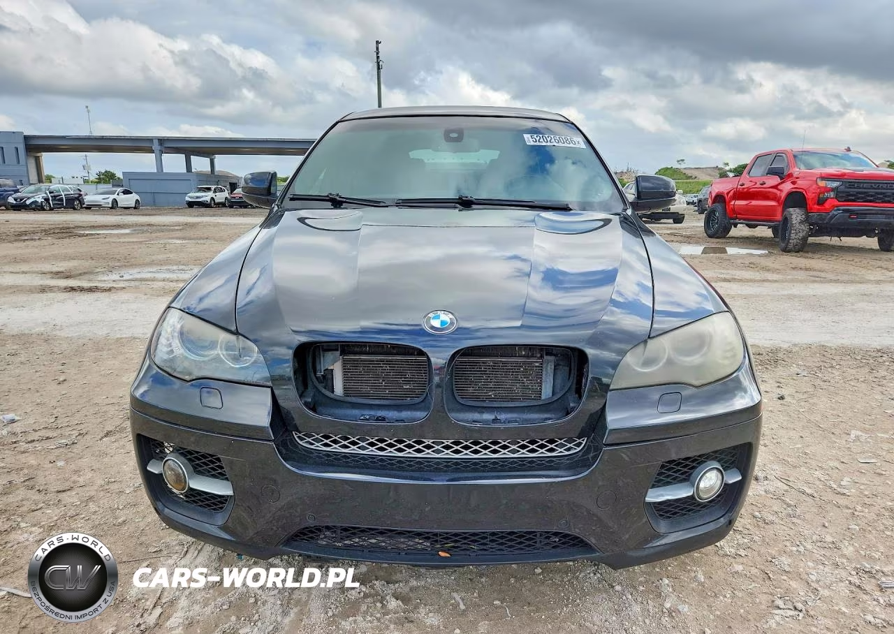 2009 BMW X6 VIN:5UXFG83529LZ92342 - 5
