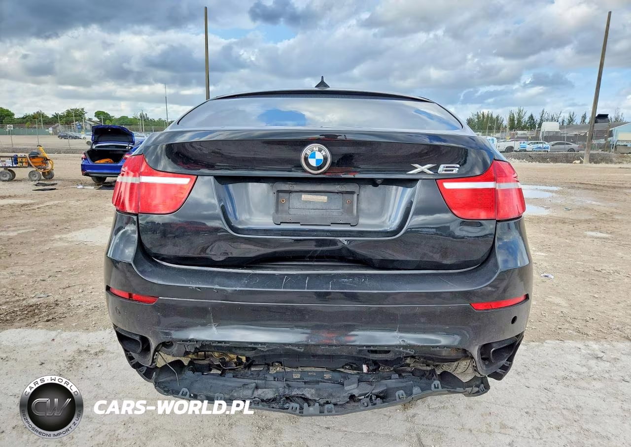 2009 BMW X6 VIN:5UXFG83529LZ92342 - 6