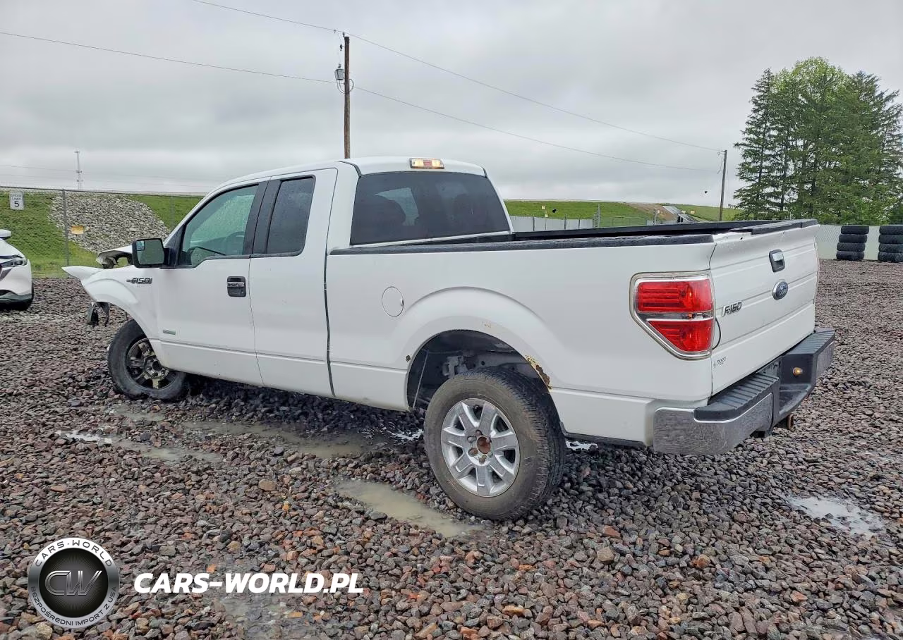 2013 Ford F150 Super Cab VIN:1FTFX1CT5DFD02341 - 2