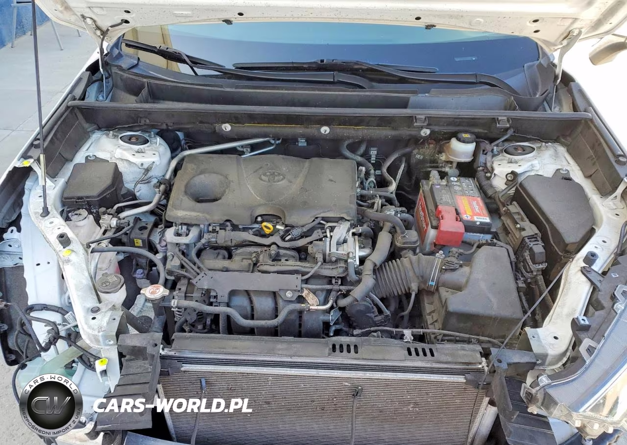 2019 Toyota Rav4 Xle VIN:JTMW1RFV4KD002876 - 12