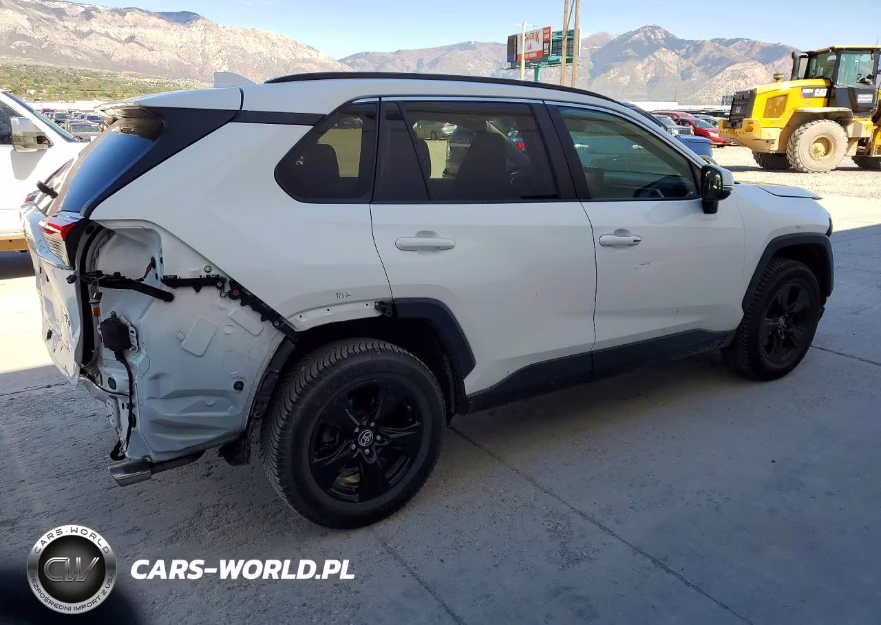 2019 Toyota Rav4 Xle VIN:JTMW1RFV4KD002876 - 3