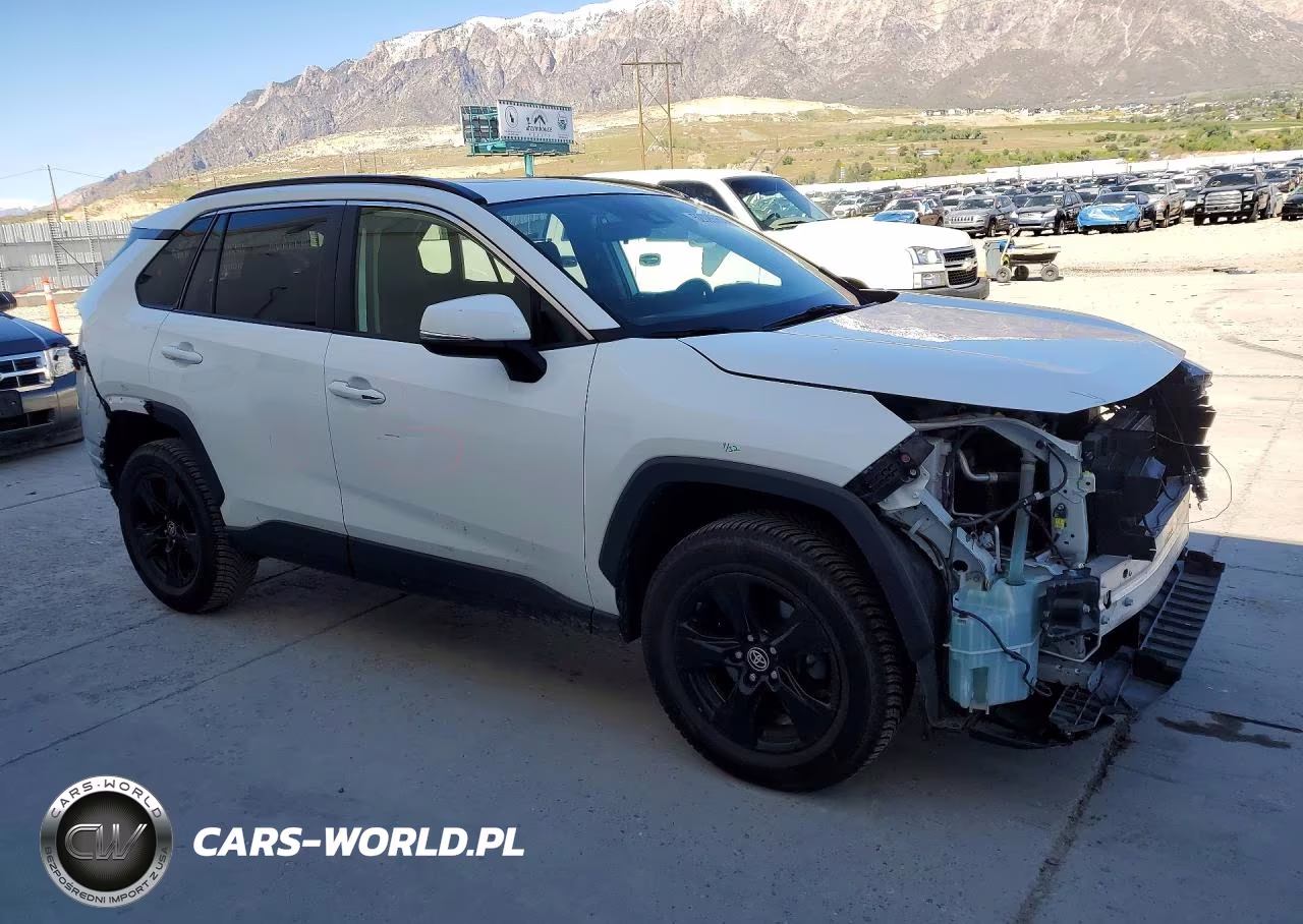 2019 Toyota Rav4 Xle VIN:JTMW1RFV4KD002876 - 4
