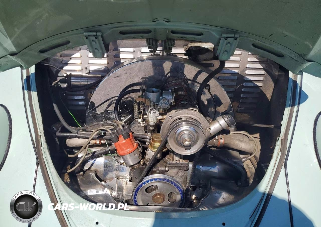 1966 Volkswagen Beetle VIN:116612342 - 11