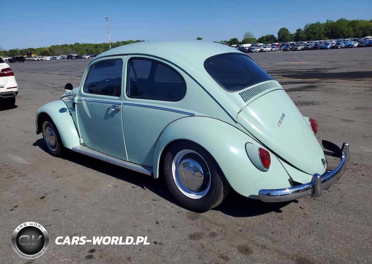 1966 Volkswagen Beetle VIN:116612342 - 2