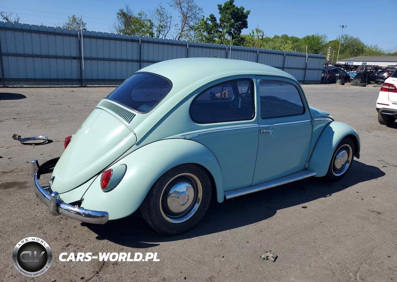 1966 Volkswagen Beetle VIN:116612342 - 3